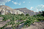 Cappadocia, Pasabag valley